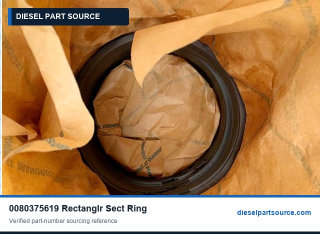 MTU 1163 Parts | 0080375619 | RECTANGLR-SECT RING