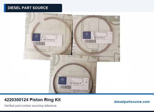 MTU 183 Parts | 4220300124 | PISTON RING KIT