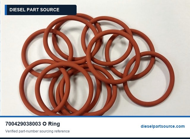 MTU 4000 Parts | 700429038003 | O-RING