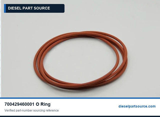 MTU 2000 Parts | 700429460001 | O-RING