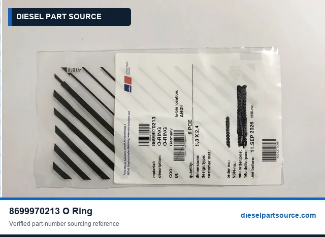 MTU 396 ENGINE PARTS | 8699970213 | O-RING
